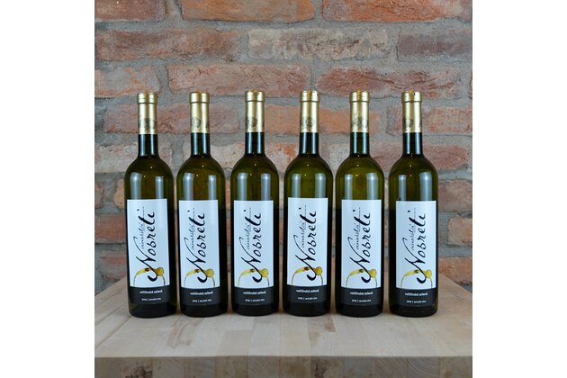 Vertikální degustace Veltlínské zelené